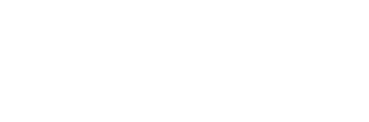 Developer Image