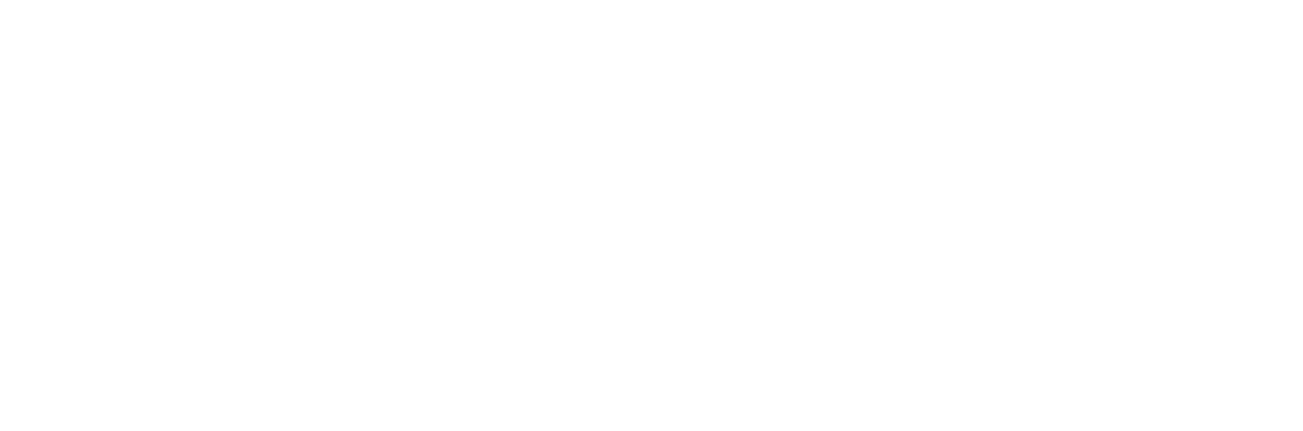 Developer Image
