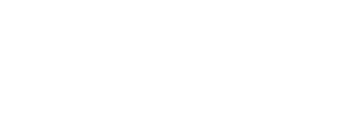 Developer Image