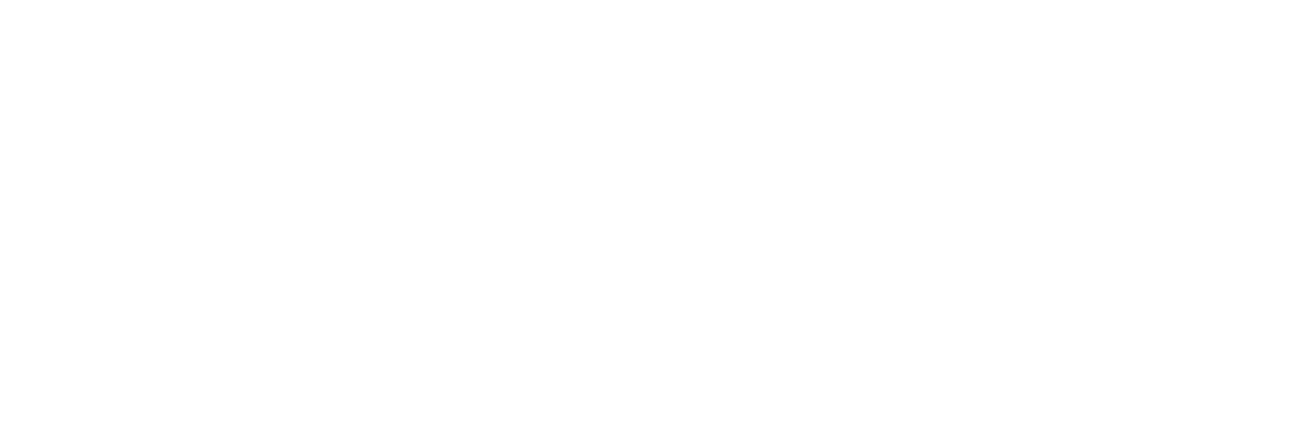 Developer Image