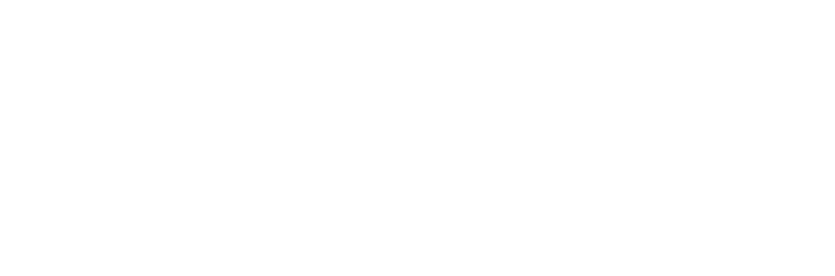 Developer Image