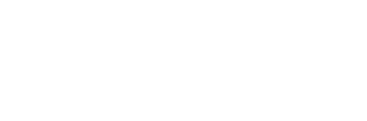 Developer Image
