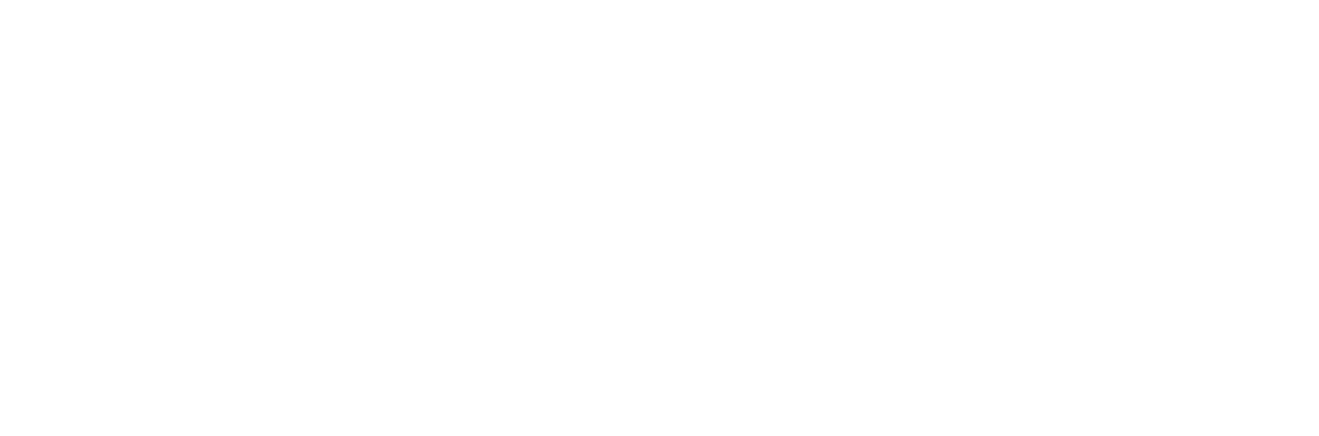 Developer Image